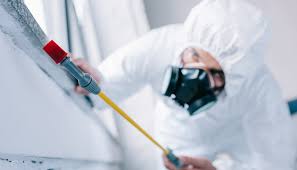 Best Pest Control for Multi-Family Homes  in South Monroe, MI